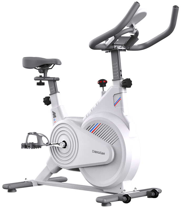 Indoor Cycling Bike