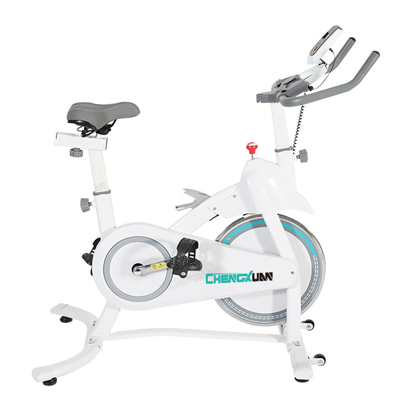 D-WH290 Aluminum Alloy Pedal Silent Infinite Resistance Exercise Bikes